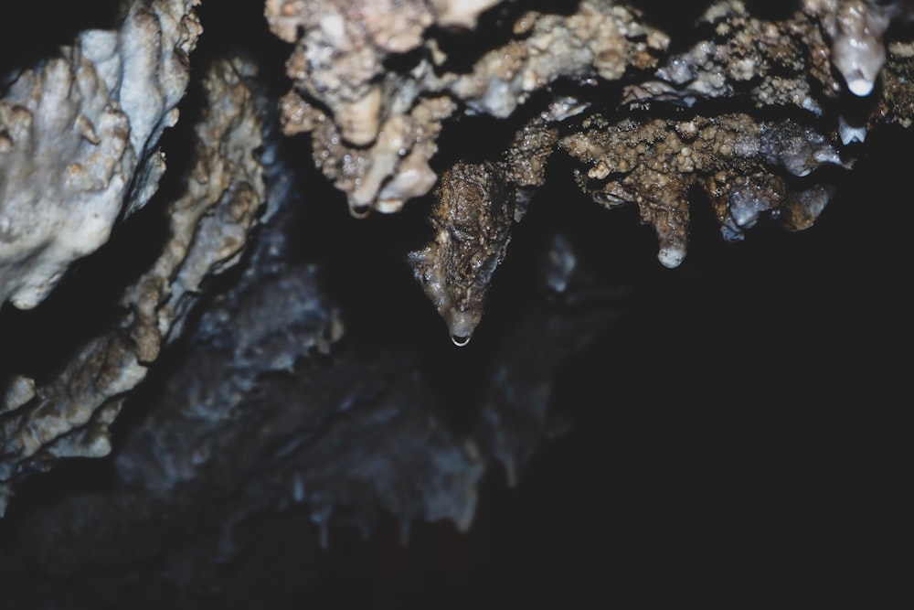 brown and black rock formation