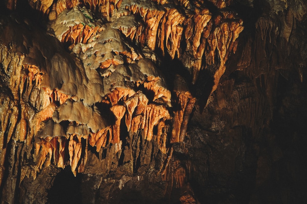 brown rock formation during daytime