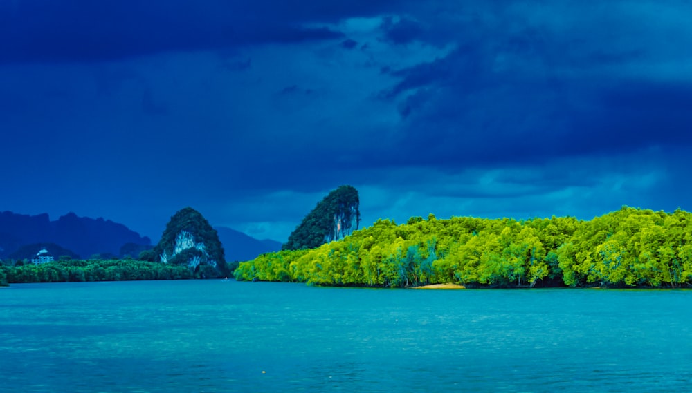 green trees near body of water under blue sky during daytime