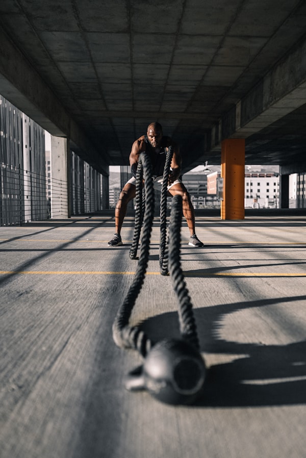 Fitness equipment collection