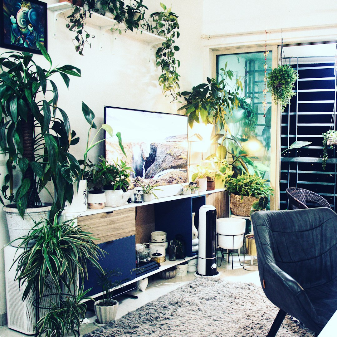 green potted plant beside black and white wooden table