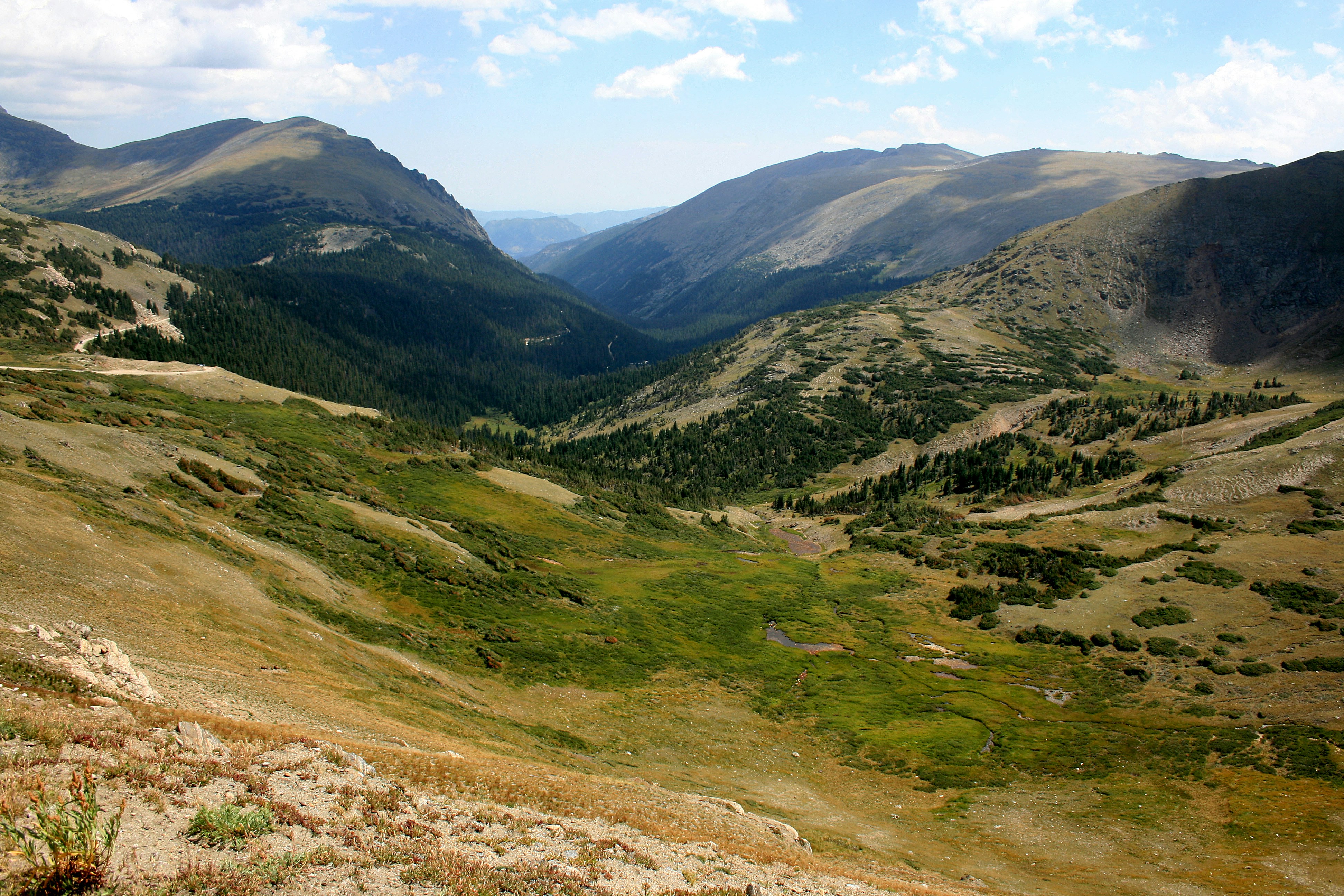 Photo by drewgeraets