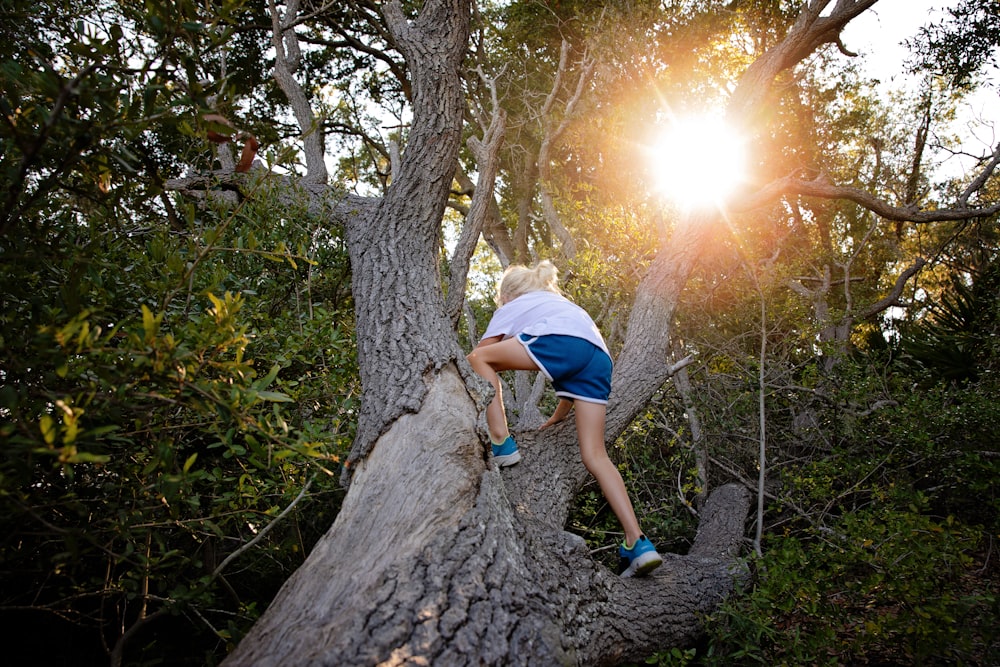 woman in white t-shirt and blue denim shorts climbing on brown tree during daytime