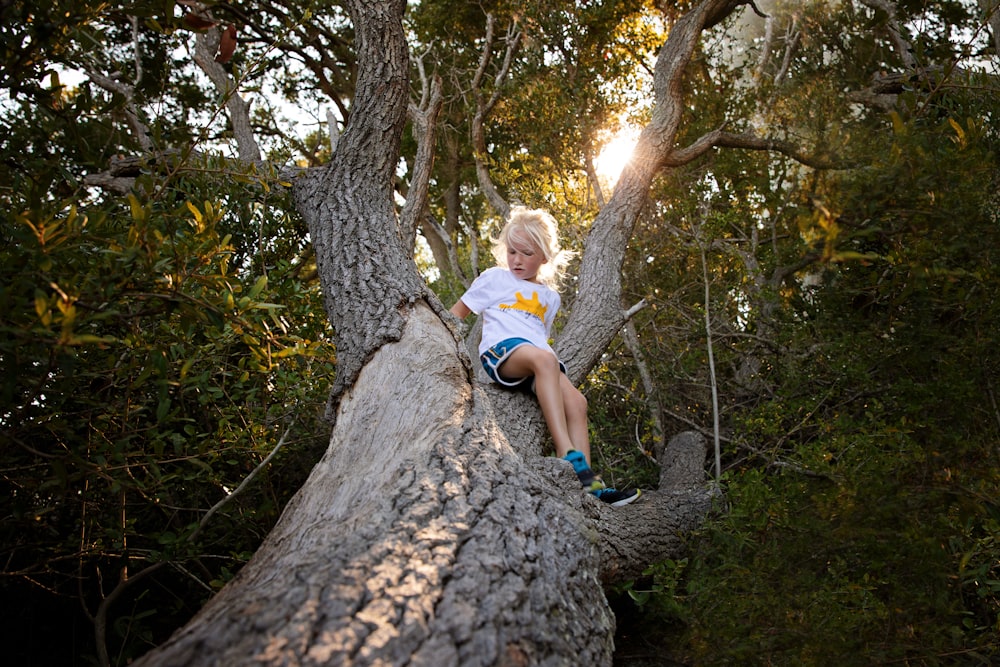 woman in white t-shirt sitting on tree