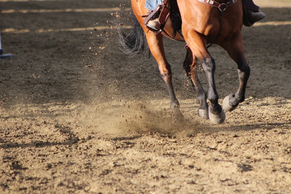 brown horse running on brown soil