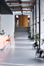 black and white short coated dog on white concrete building during daytime