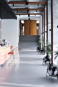 black and white short coated dog on white concrete building during daytime