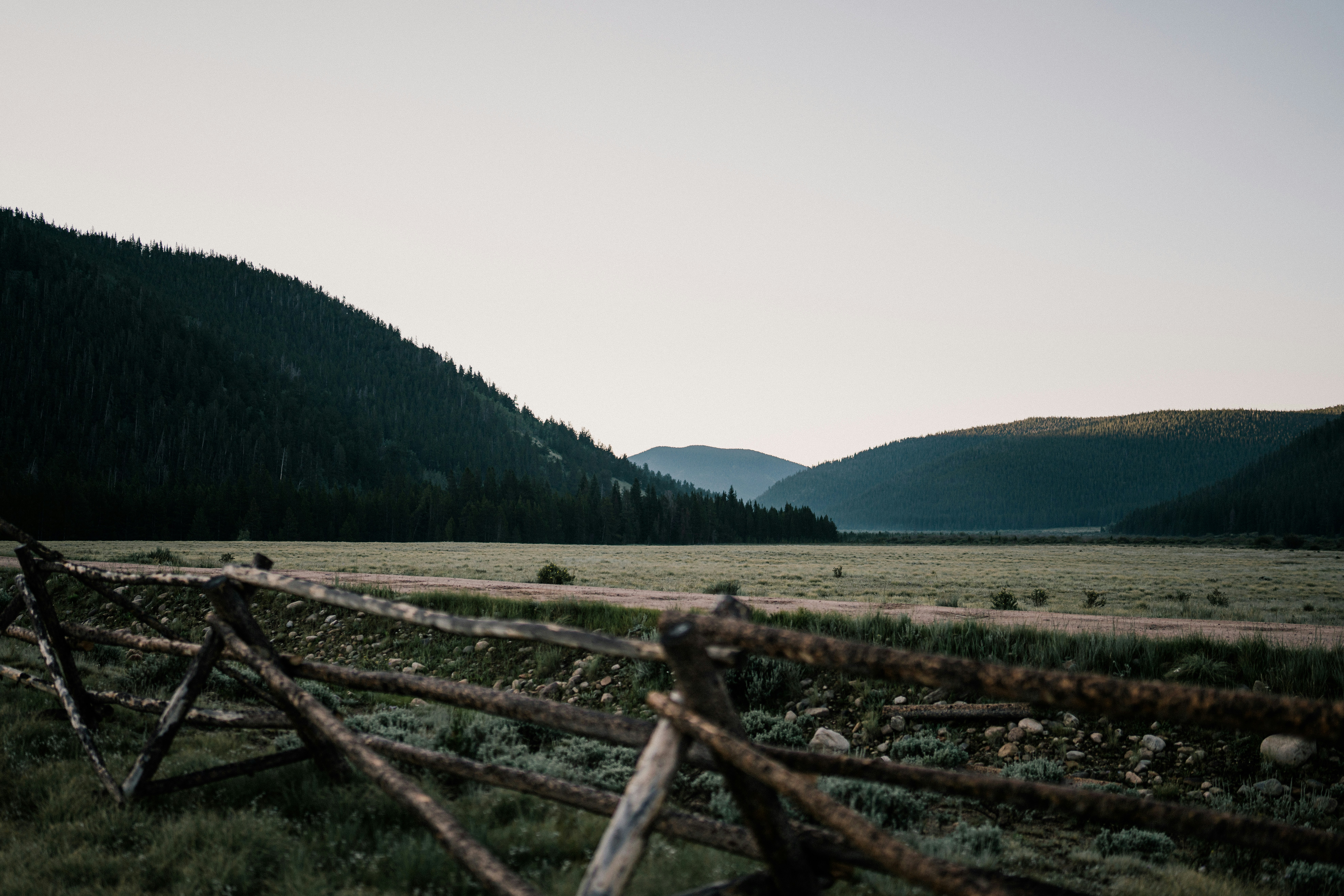 Photo by matias_north