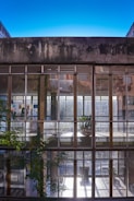 A modern building with large glass windows and greenery.