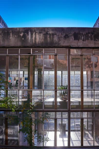 A sleek modern building with large glass windows reflecting the sky, surrounded by lush greenery.