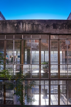 A modern building with large glass windows and greenery.