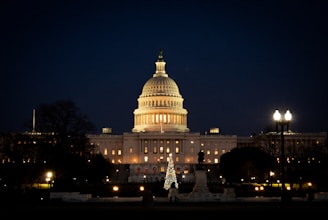 white dome building during night time