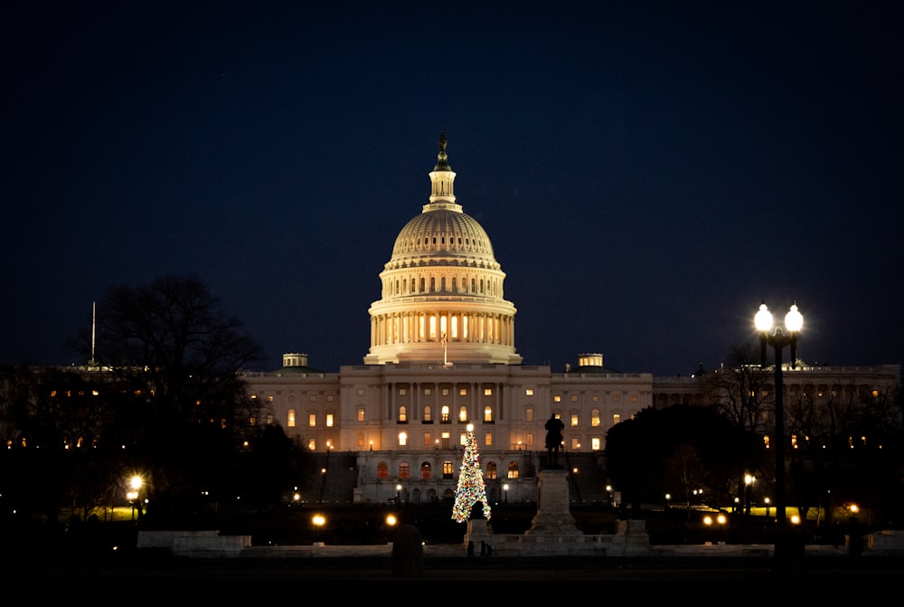 white dome building during night time