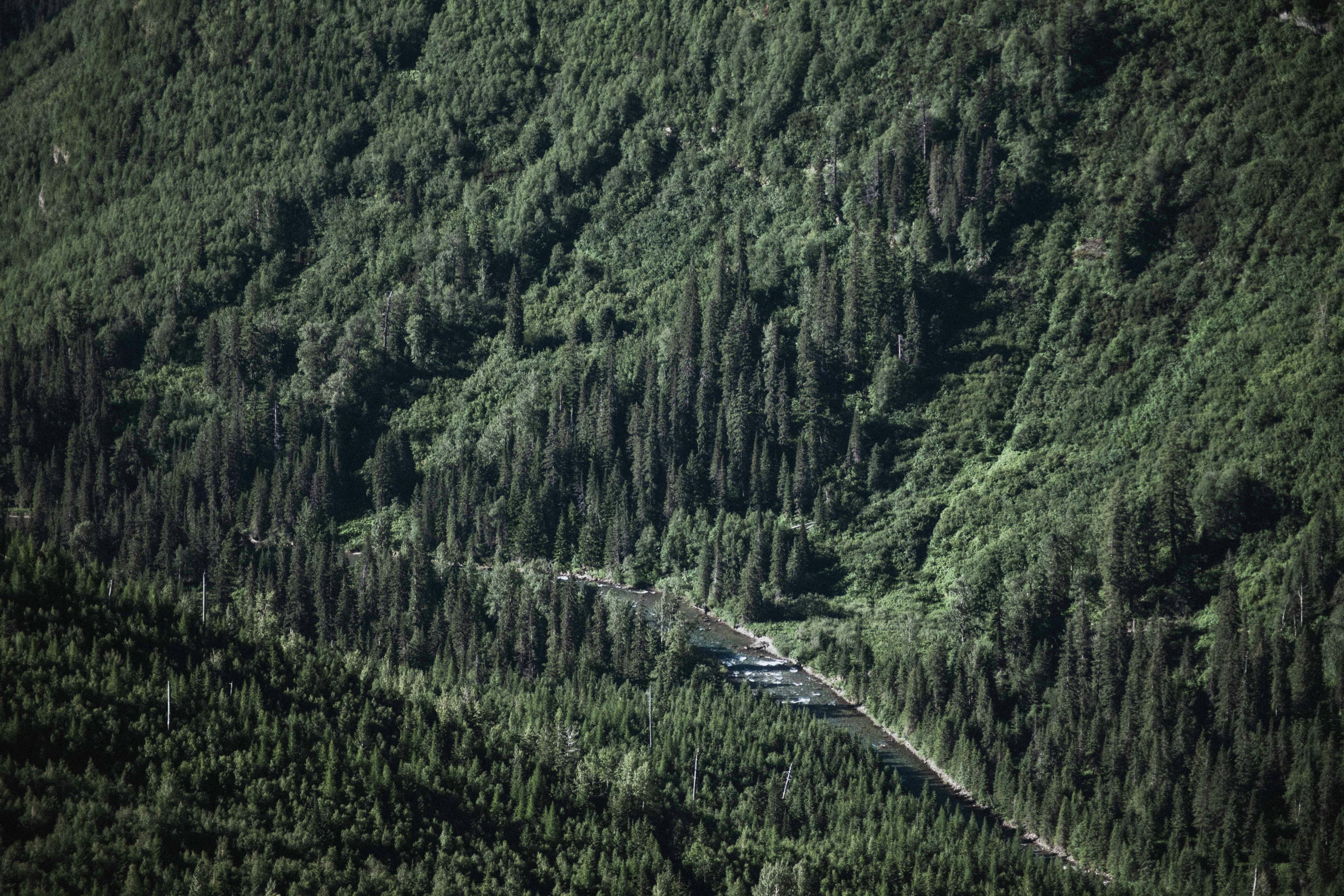 Photo by ivan_kosovan