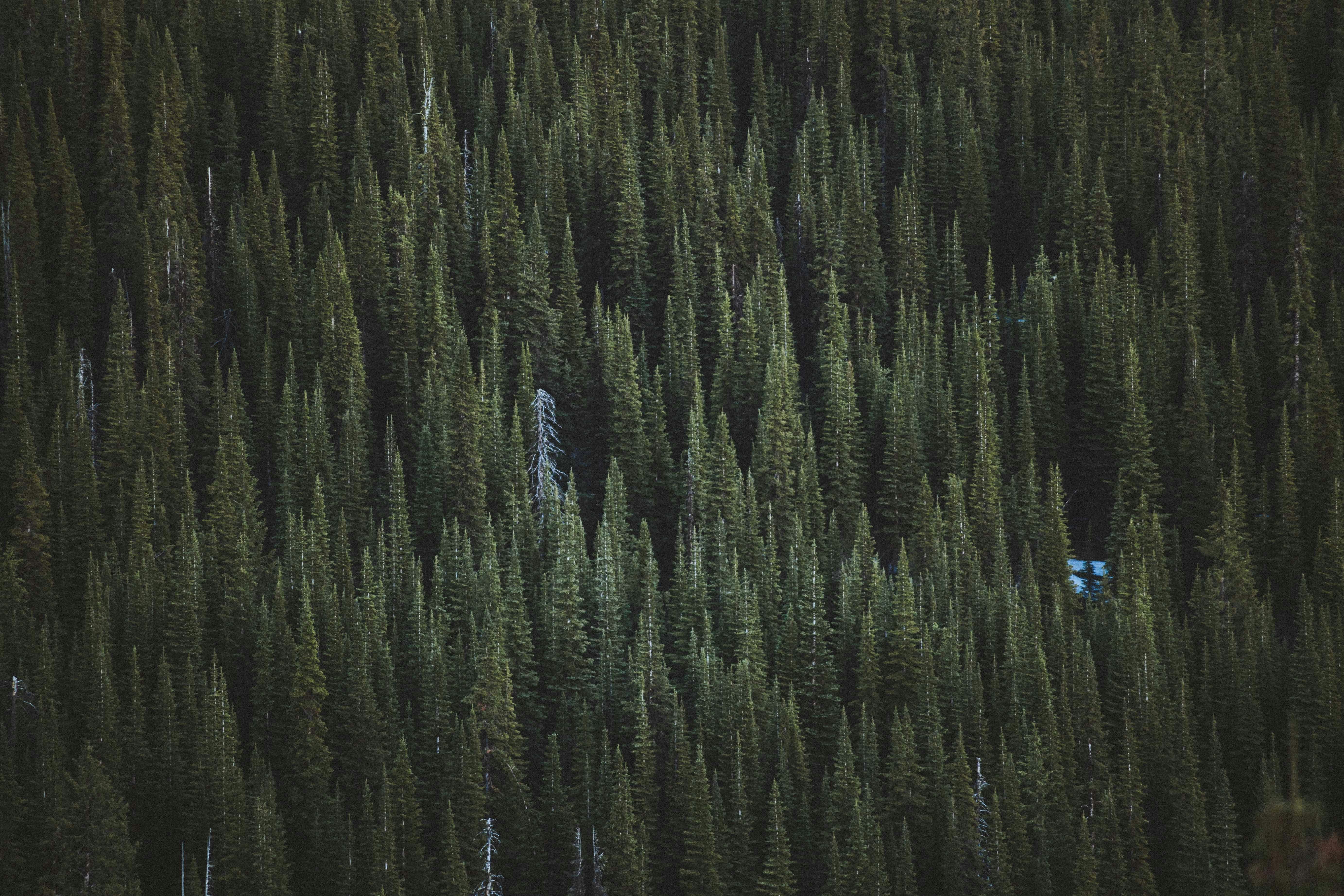 Photo by ivan_kosovan