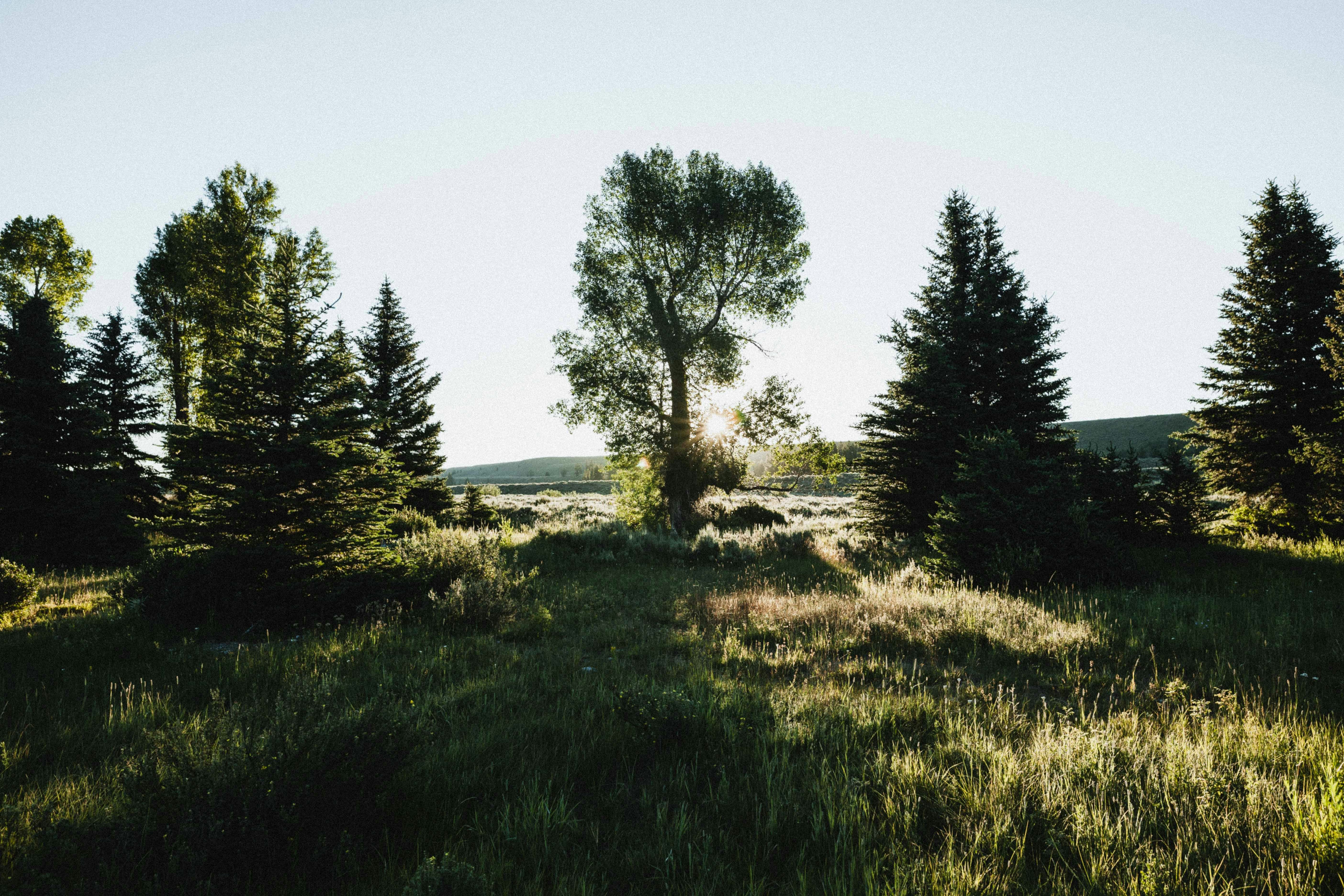 Photo by ivan_kosovan