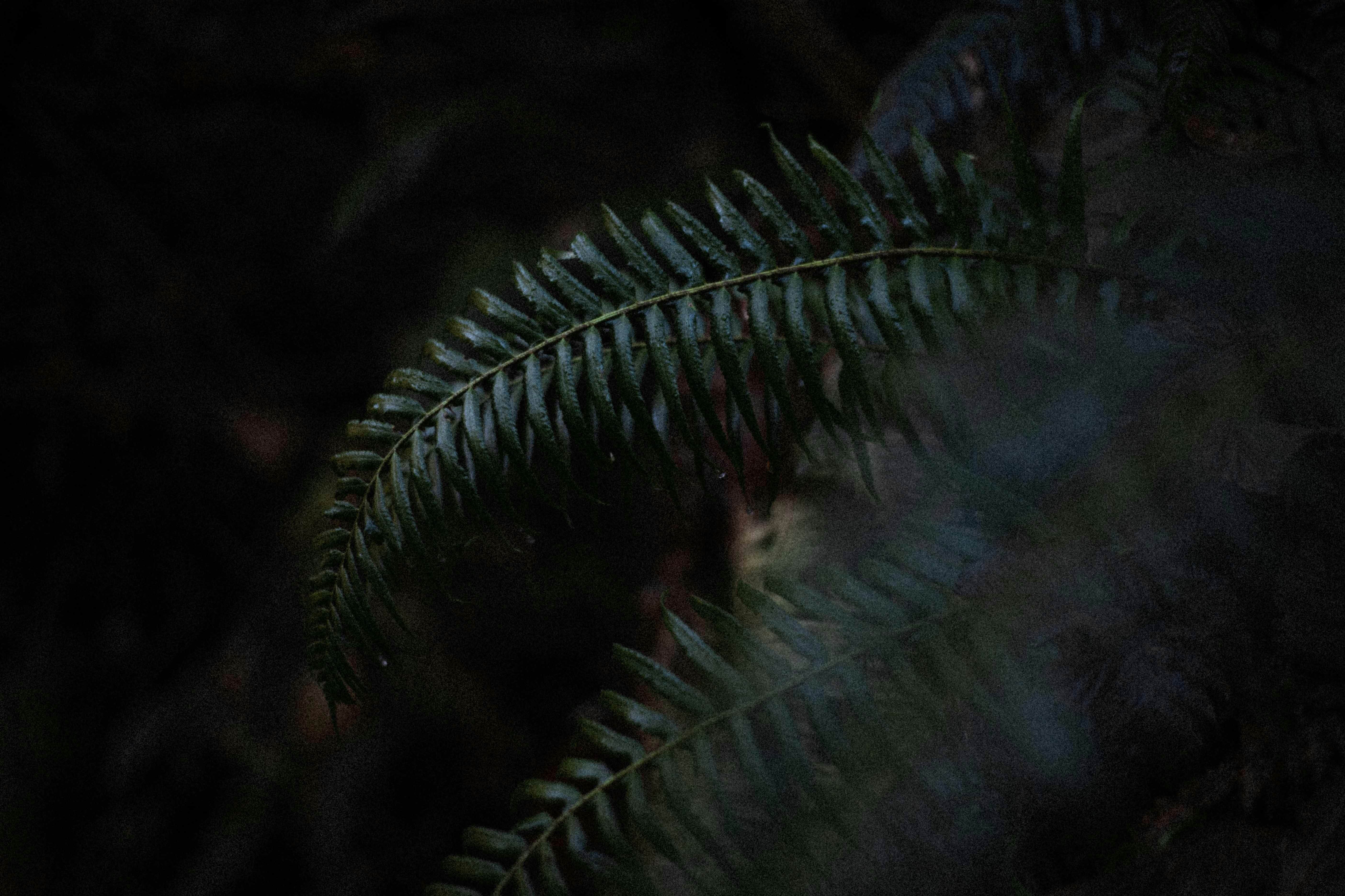 Photo by ivan_kosovan