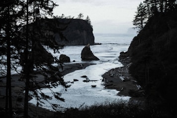 A rugged coastal landscape featuring tall, dark silhouettes of trees framing both sides. Large rock formations are scattered along the shore and into the ocean, giving a sense of untouched and natural beauty. The water reflects the moody atmosphere of the overcast sky, and driftwood is scattered across the sandy areas.