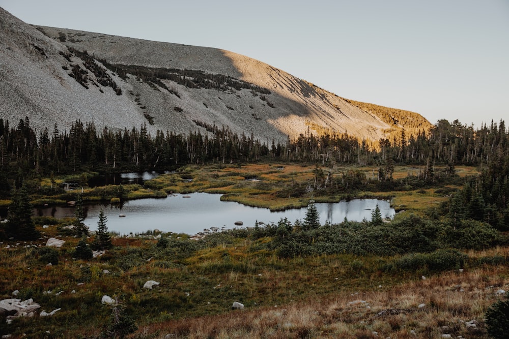 brown mountain near body of water during daytime