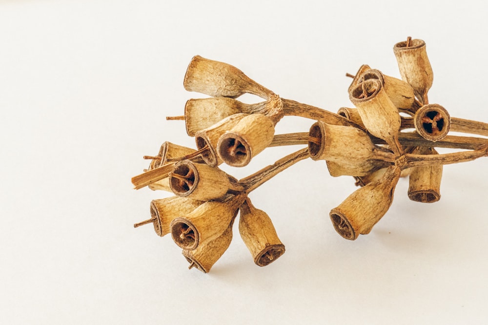 brown wooden human skeleton on white surface