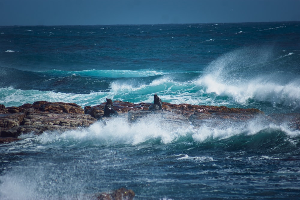 sea waves crashing on brown rock formation during daytime