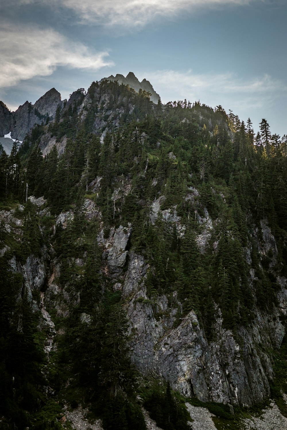 green trees on mountain under white clouds during daytime