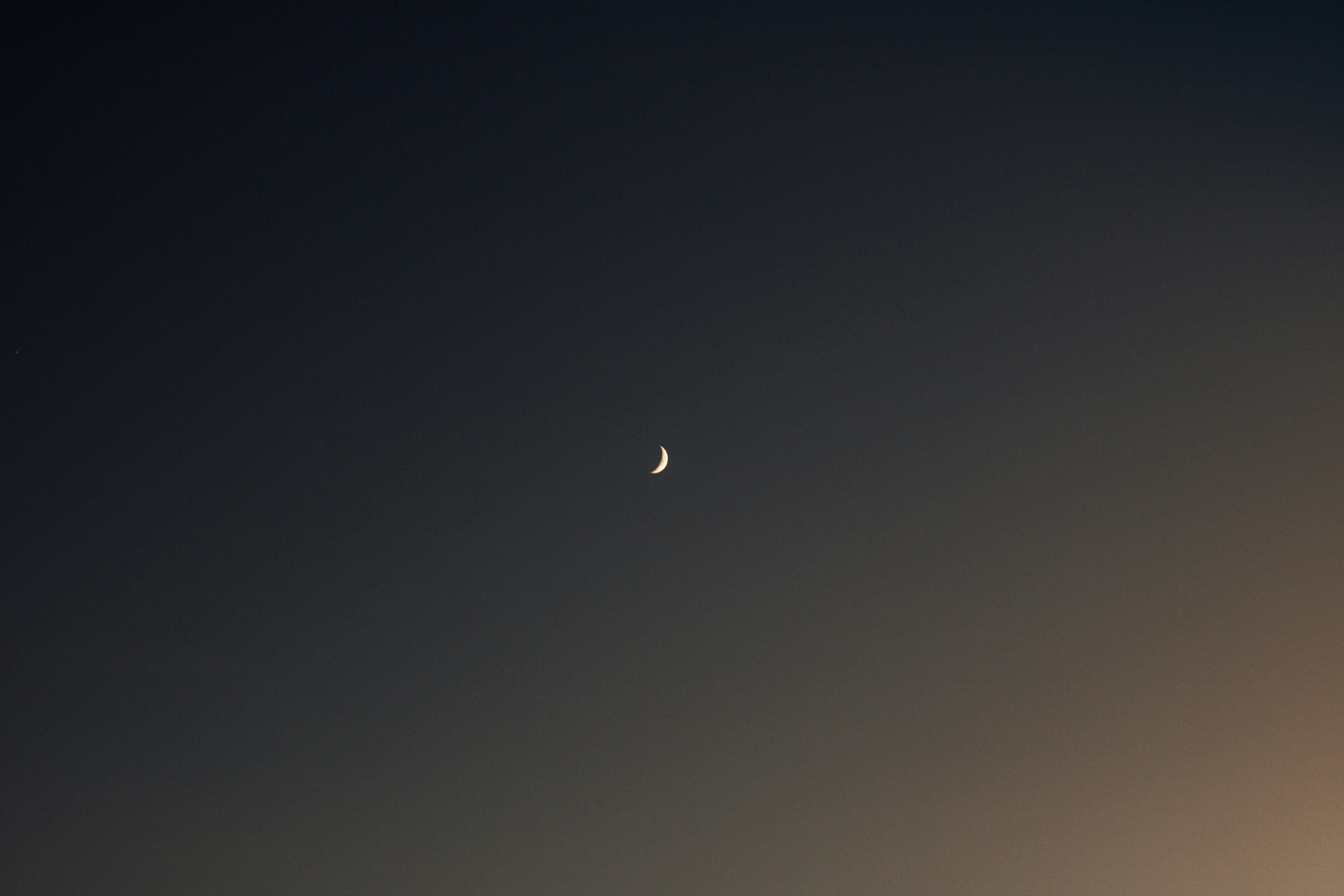 black bird flying on sky during daytime