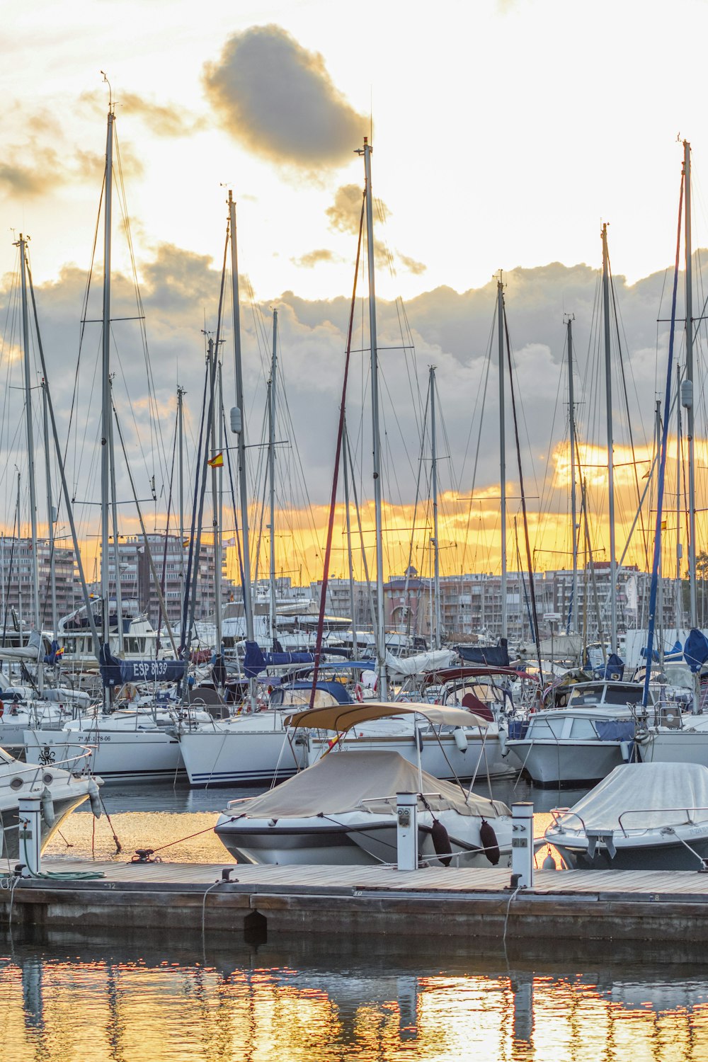 white sail boats on sea dock during daytime