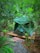 A green tent is set up on a wooden platform in a lush, green forested area. The scene is adorned with various potted plants, including ferns and broad-leafed plants. Wooden elements and natural stone decorations are present on the ground, creating a serene camping spot surrounded by dense greenery.