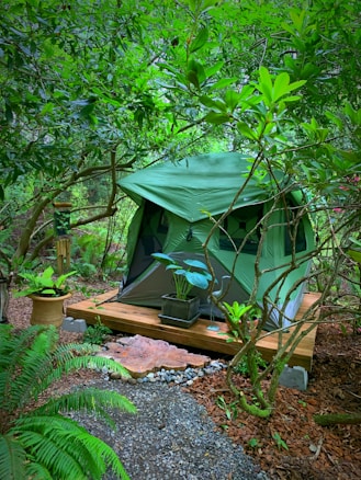 A green tent is set up on a wooden platform in a lush, green forested area. The scene is adorned with various potted plants, including ferns and broad-leafed plants. Wooden elements and natural stone decorations are present on the ground, creating a serene camping spot surrounded by dense greenery.