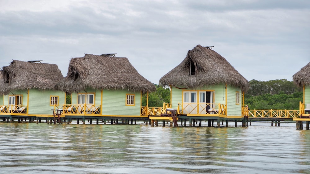 brown and white house on water