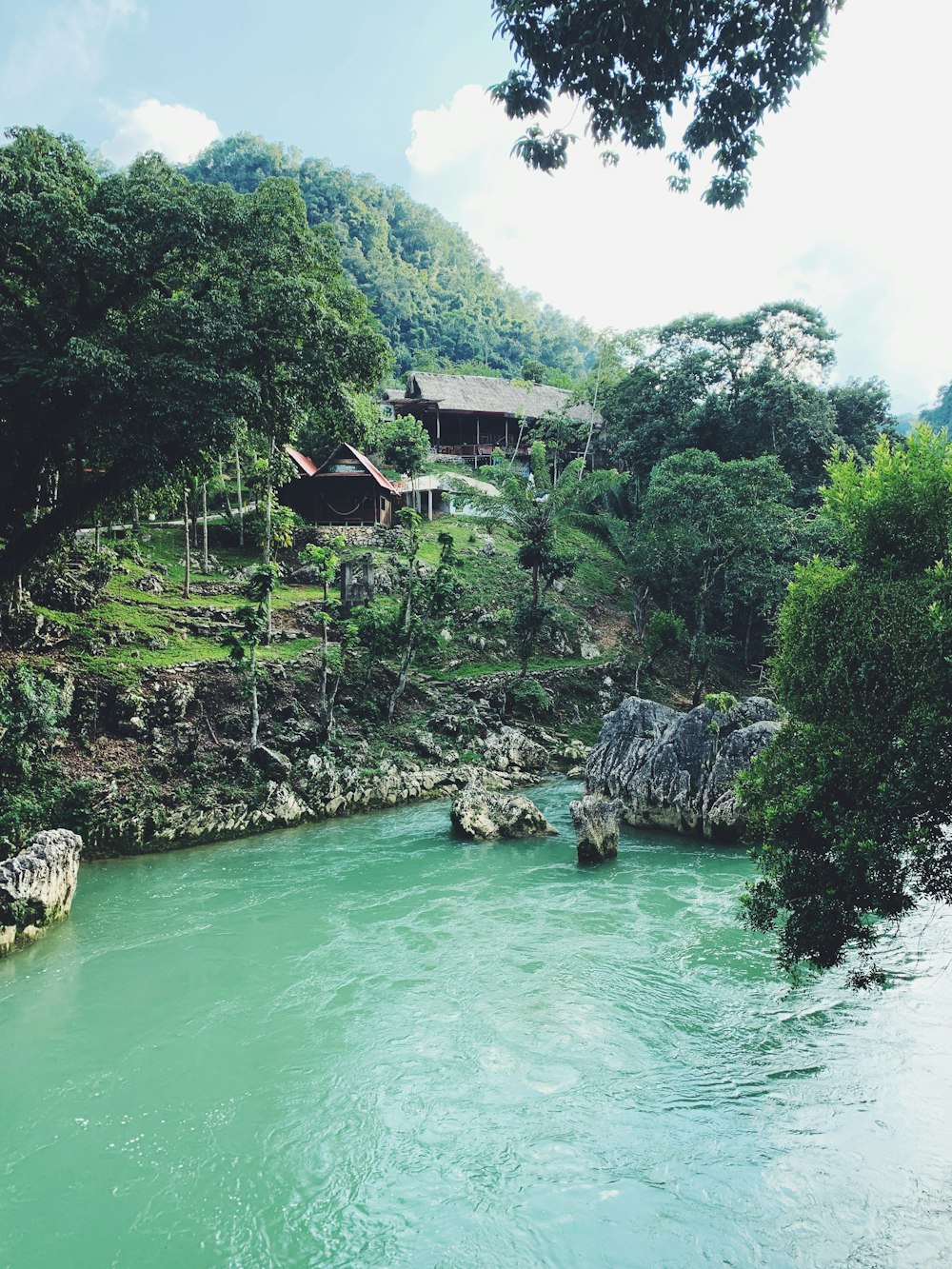 낮에는 푸른 나무로 둘러싸인 녹색 강에 위치한 갈색 목조 주택