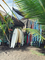 white and red surfboard on brown sand