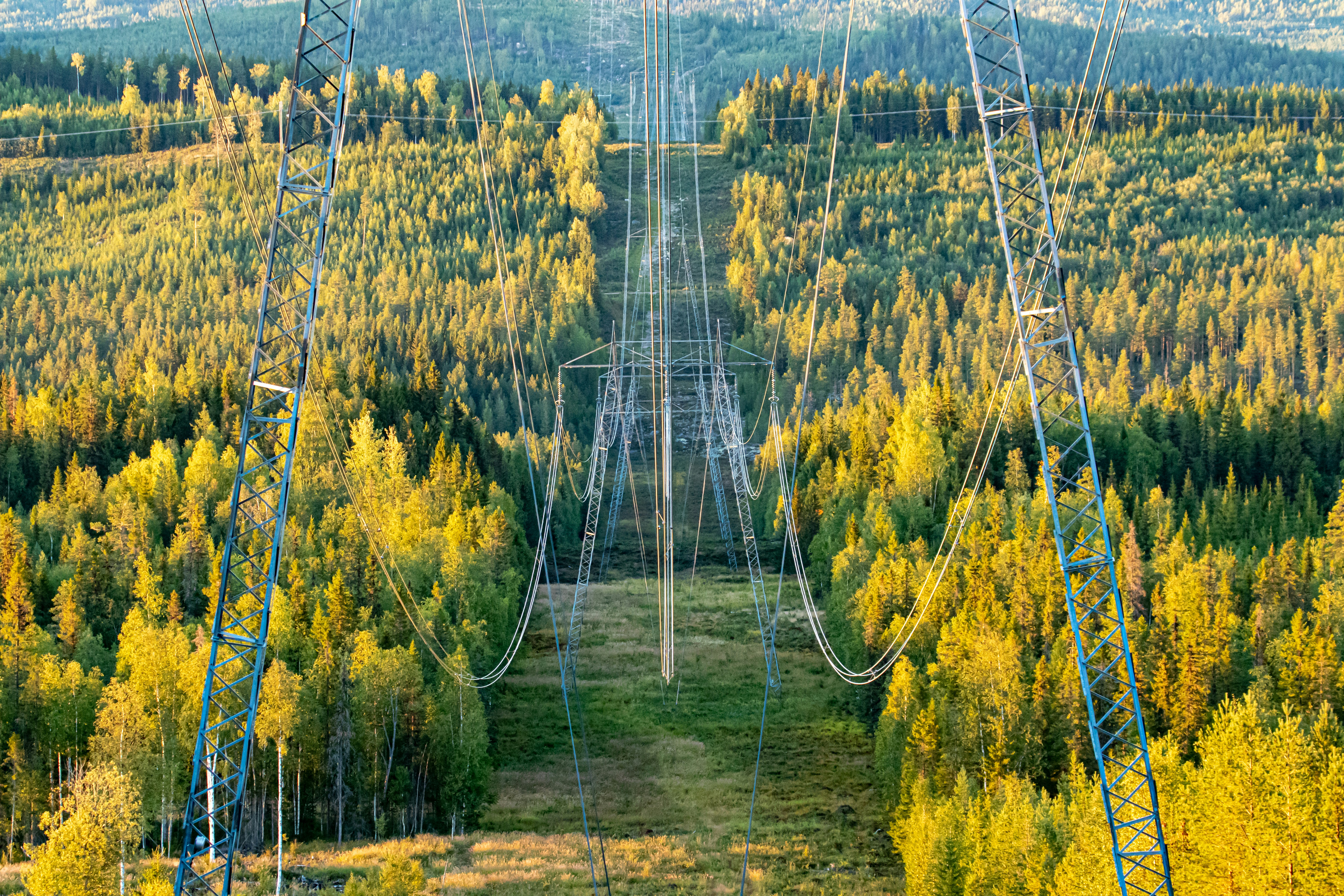 Power transmission lines run through a forested, hilly landscape with a swath of trees cleared for the power lines.