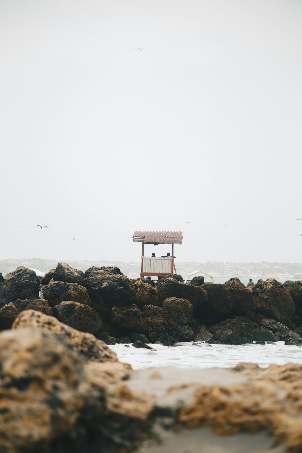 brown wooden lifeguard house on rocky shore during daytime