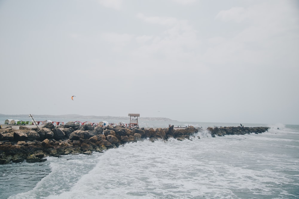 people on beach during daytime