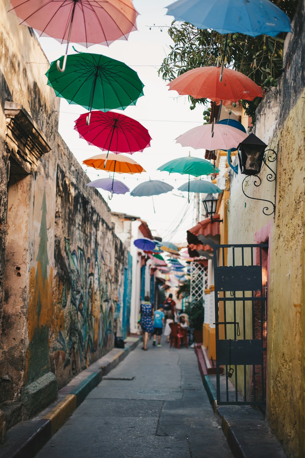 people walking on street with umbrella during daytime