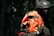 A person in a camouflage uniform and helmet is holding a high-visibility orange and black vest. The background is dark and blends into a forest setting. The figure is partially obscured by shadows, suggesting a tactical or covert environment.