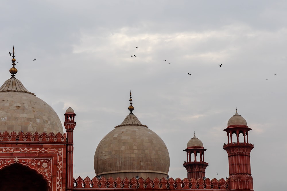 birds flying over brown and white dome building during daytime