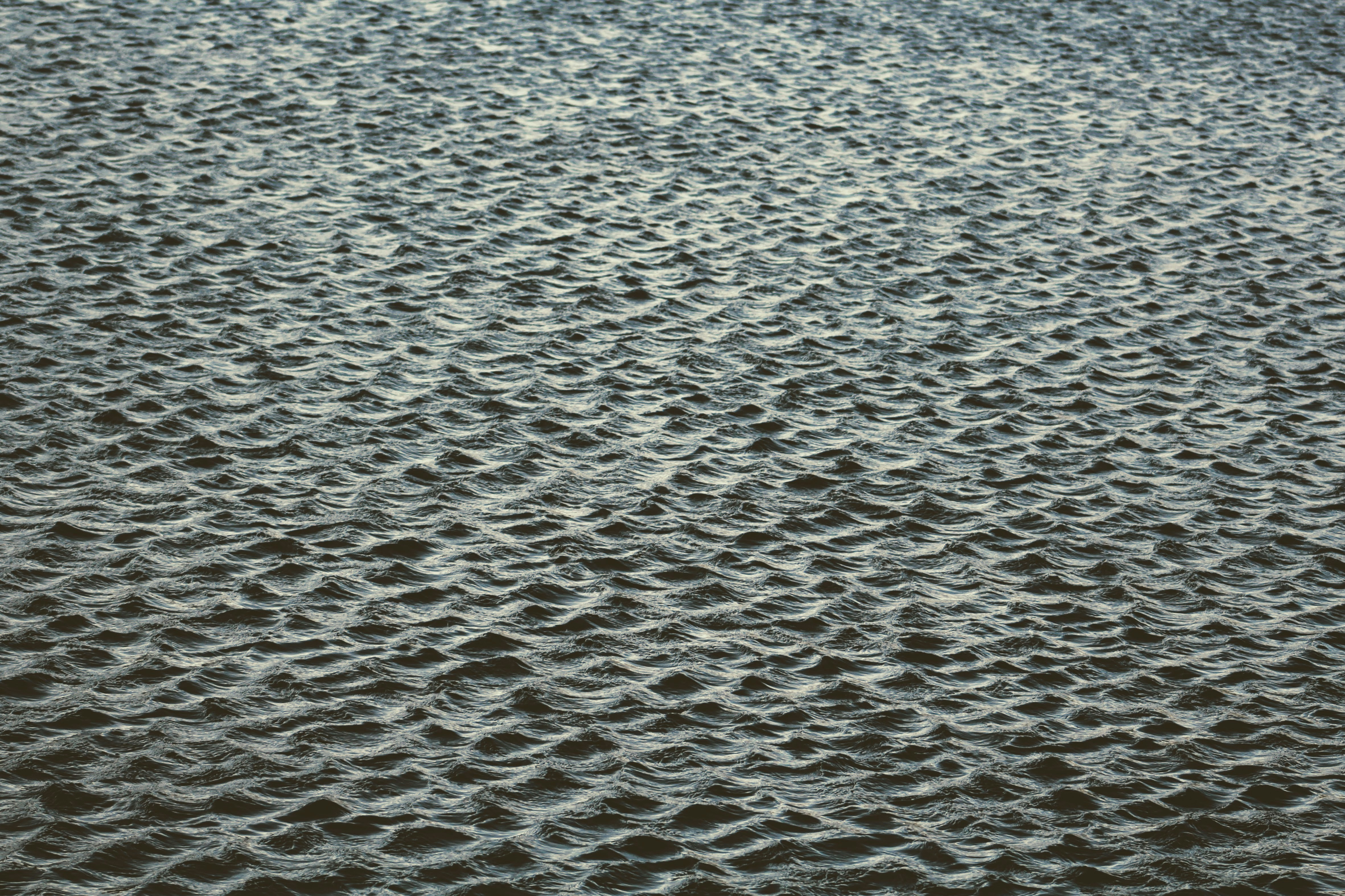 Photo by joshua_hoehne