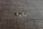 Two rings are placed side by side on a textured grey fabric surface. One ring is a plain band, while the other appears to have a row of small stones or diamonds.
