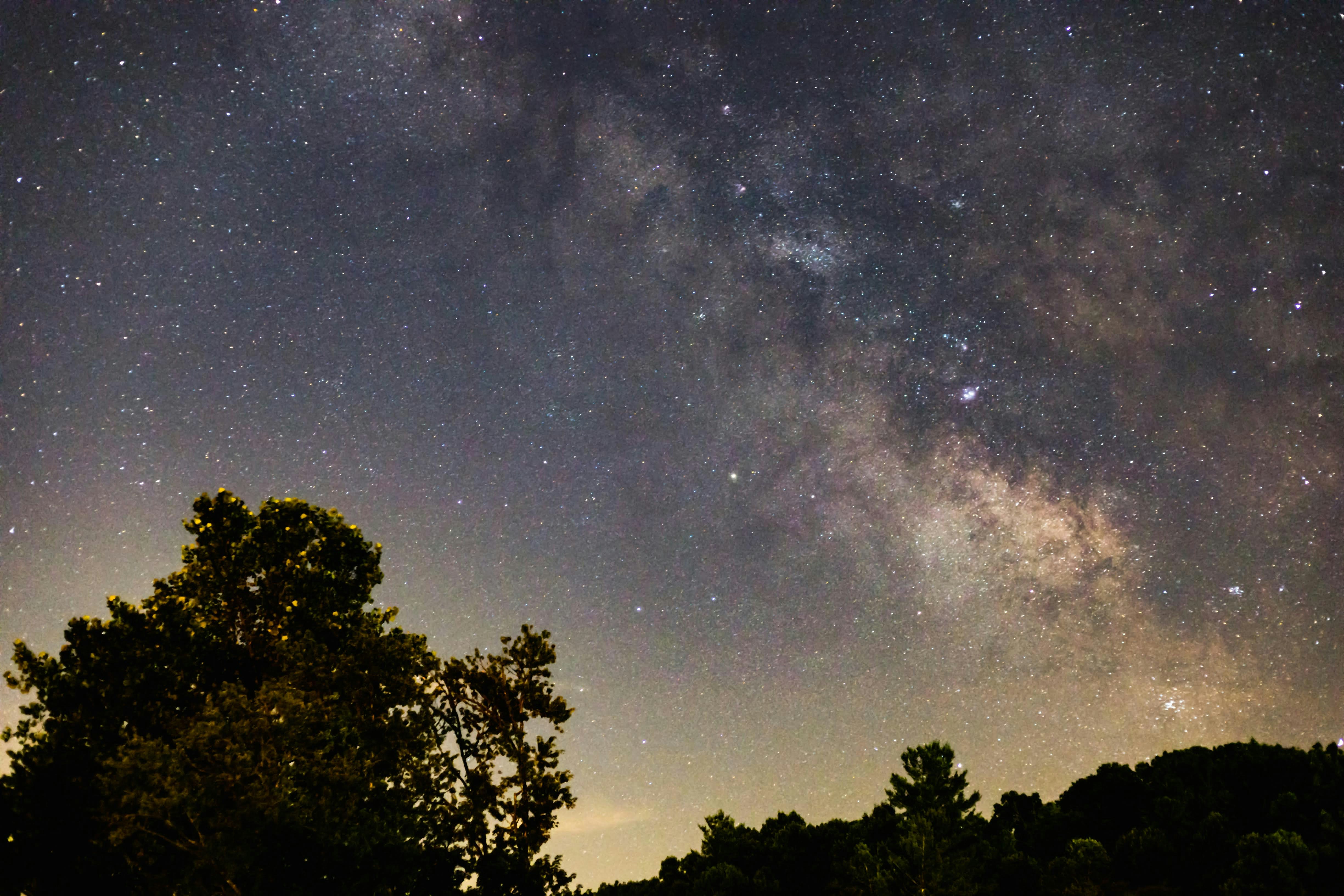 green trees under blue sky during night time