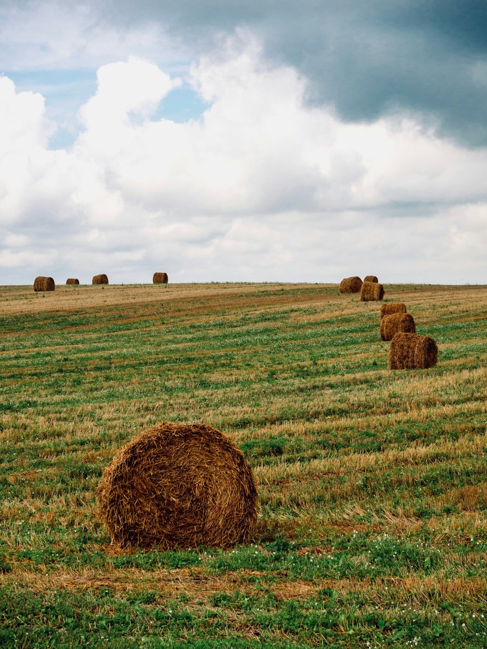 brown hays on brown grass field under white clouds during daytime