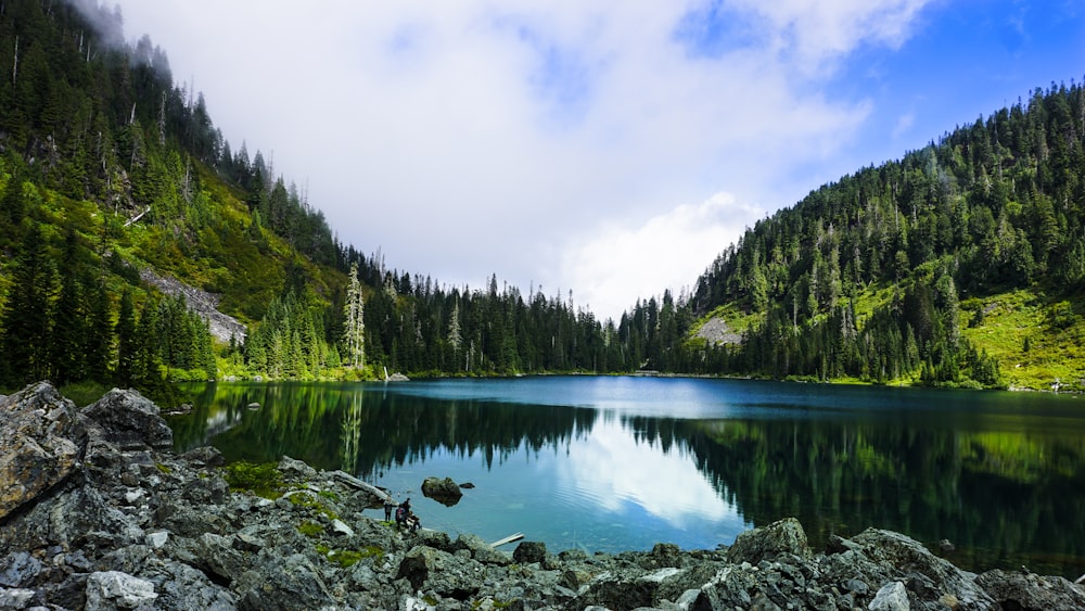 árvores verdes ao lado do lago sob nuvens brancas durante o dia