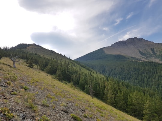 green trees on mountain under white clouds during daytime in Alberta Canada