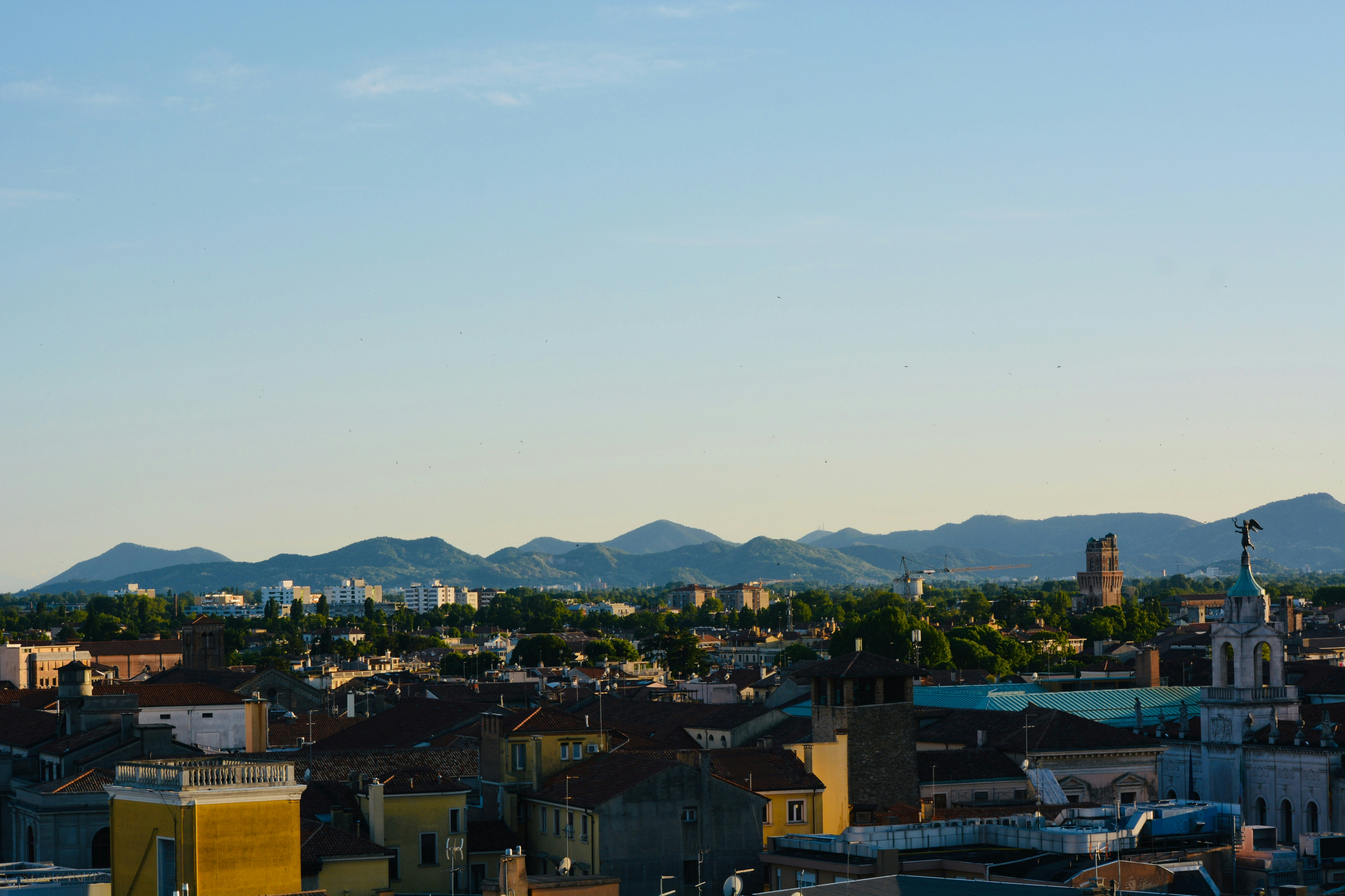 Dessies Place - The Royal Arms