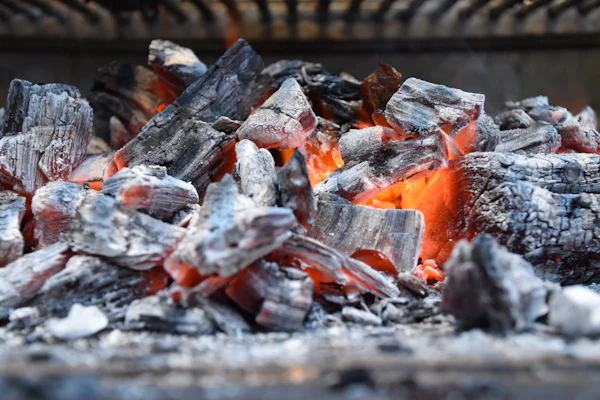Leña para el asador