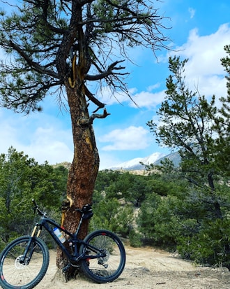 A mountain bike leans against a tall tree, surrounded by lush green pine trees and a trail of dirt. In the background, snow-capped mountains partially covered by clouds rise against a vibrant blue sky.