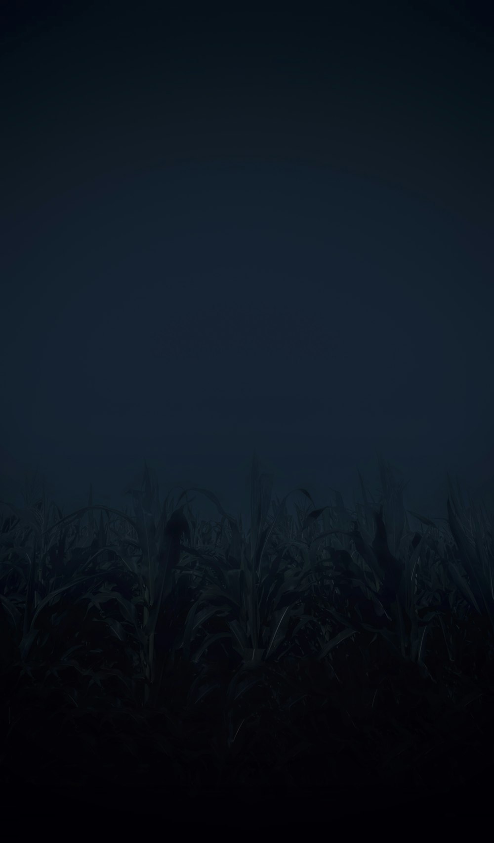 campo de grama verde durante a noite