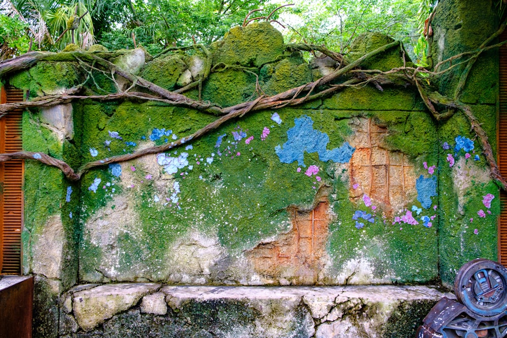 green and brown tree with blue and white painted wall